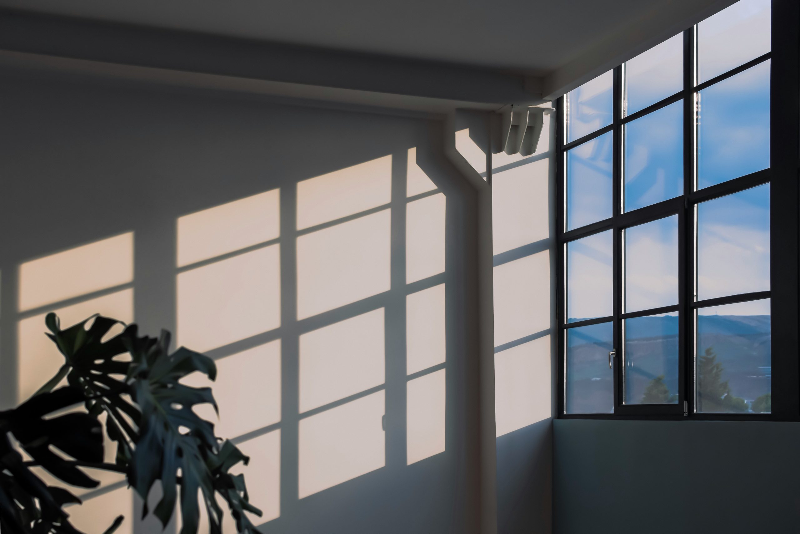 The Overton Window