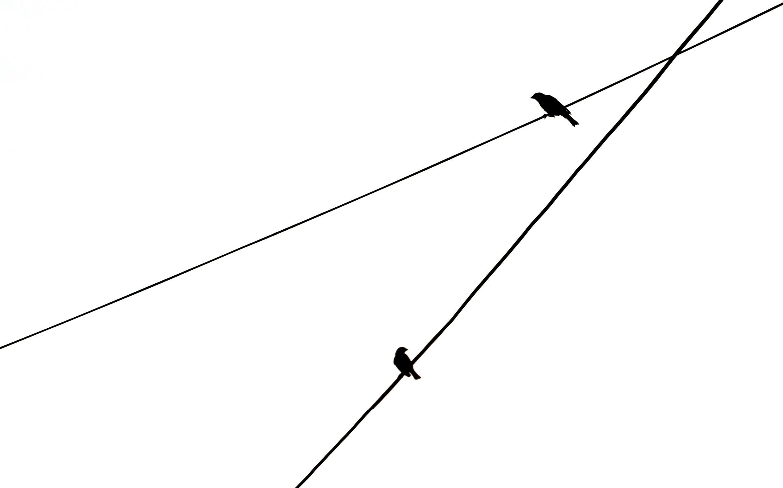 Developing a simple comms plan